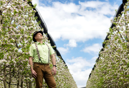 Wie Sie Spalierbäume pflegen?