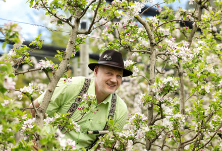 man zwischen spalierbäume
