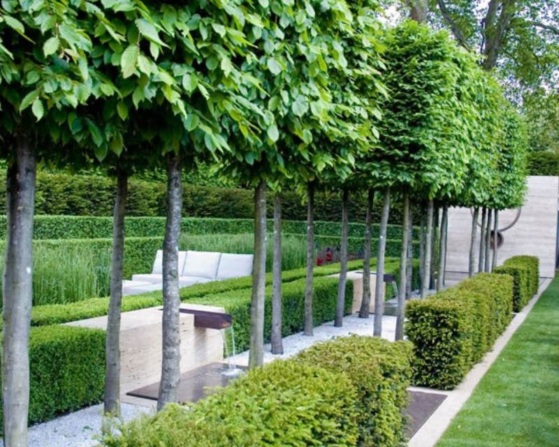 Sichtschutz im Garten ohne Hecke: moderne Lösungen